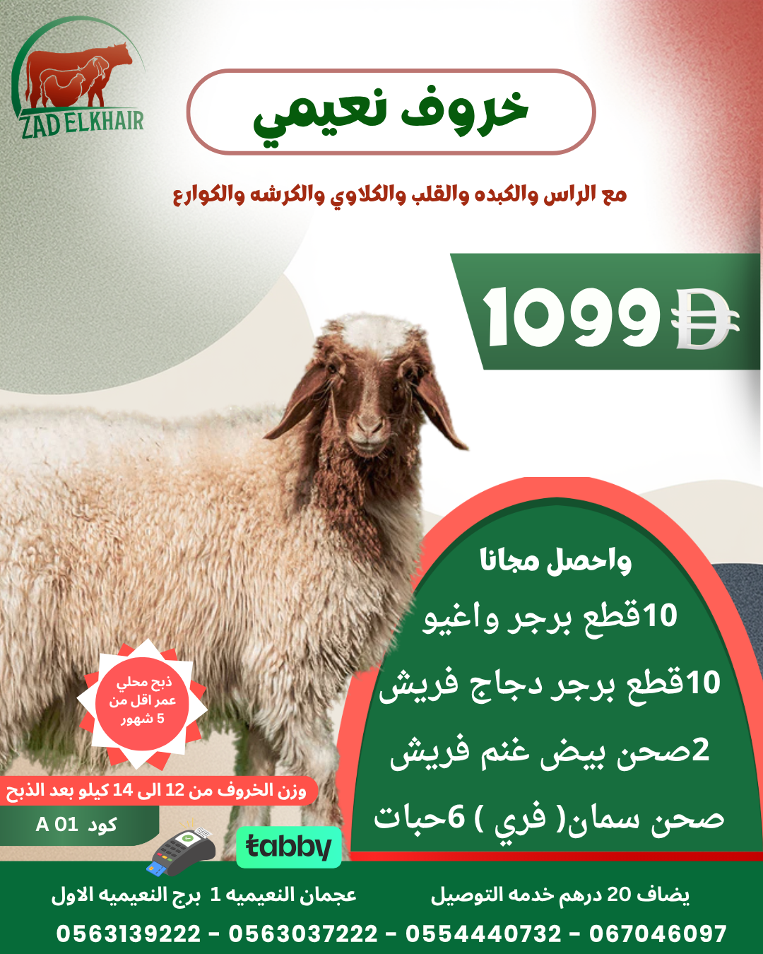 خروف نعيمي ذبح محلي كود A01