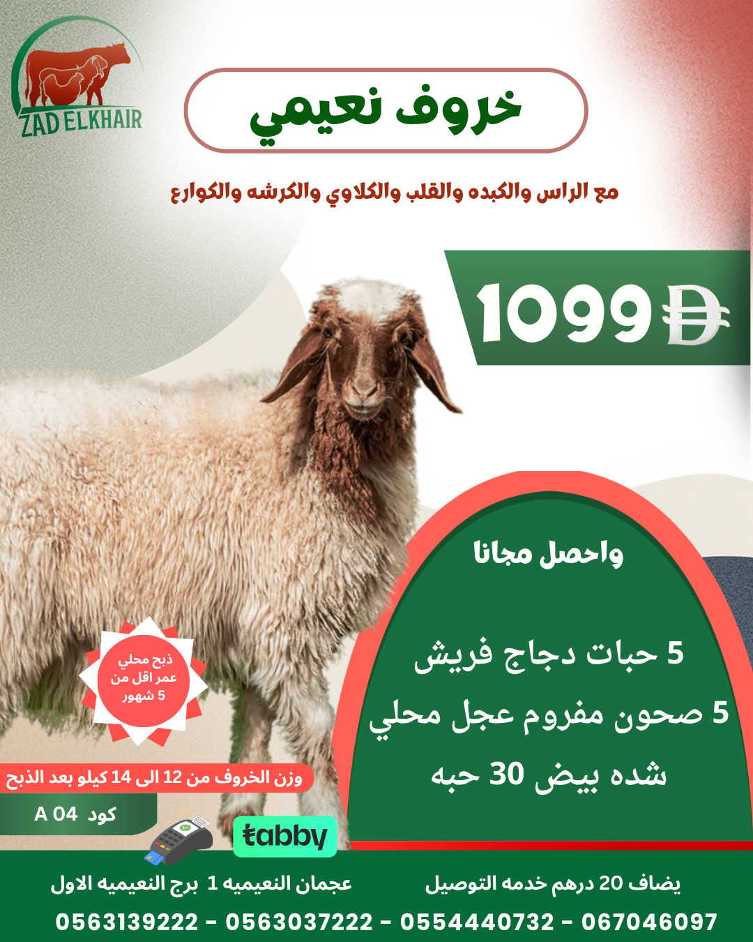 خروف نعيمي ذبح محلي كود A _04