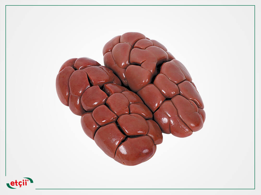 كلاوي عجل محلي فريش 