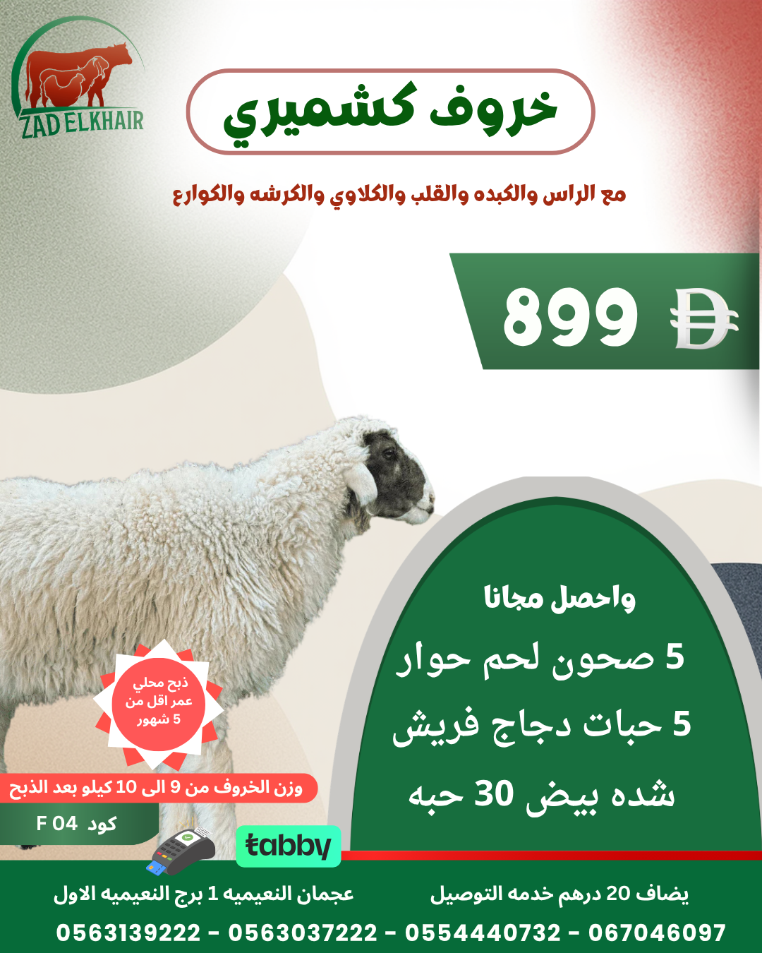 خروف كشميري ذبح محلي كود F04