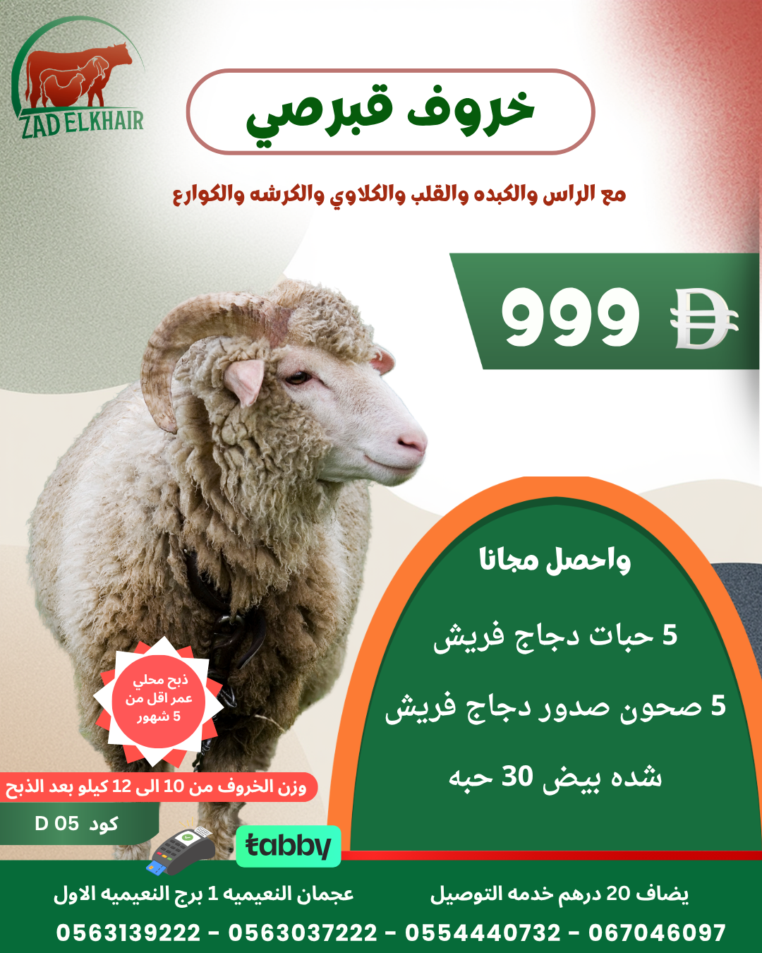 خروف قبرصي ذبح محلي كود D05