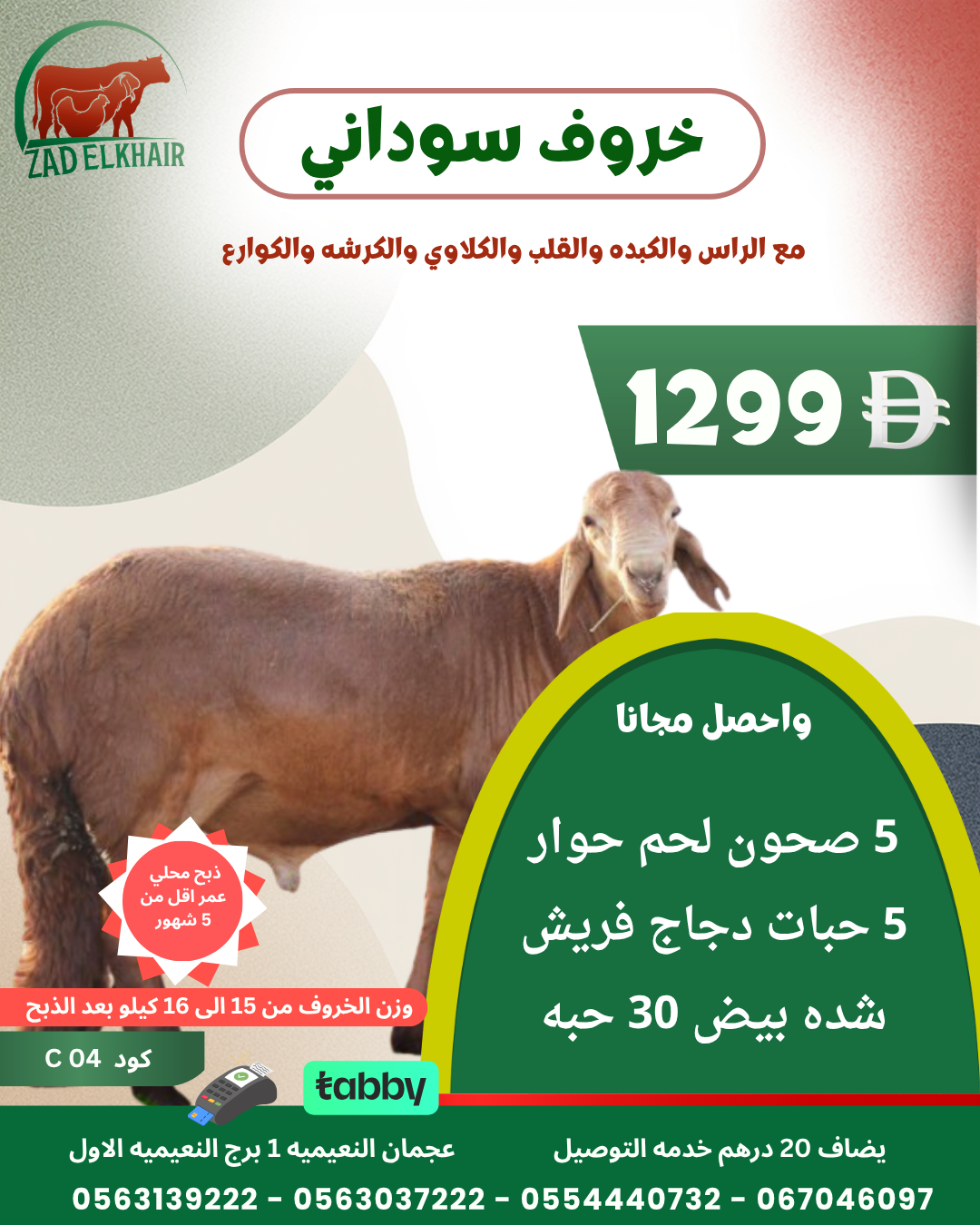 خروف سوداني ذبح محلي كود C 04