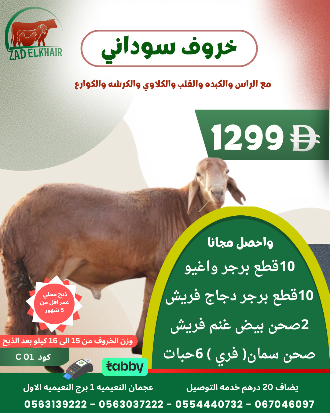 خروف سوداني ذبح محلي كود C 01