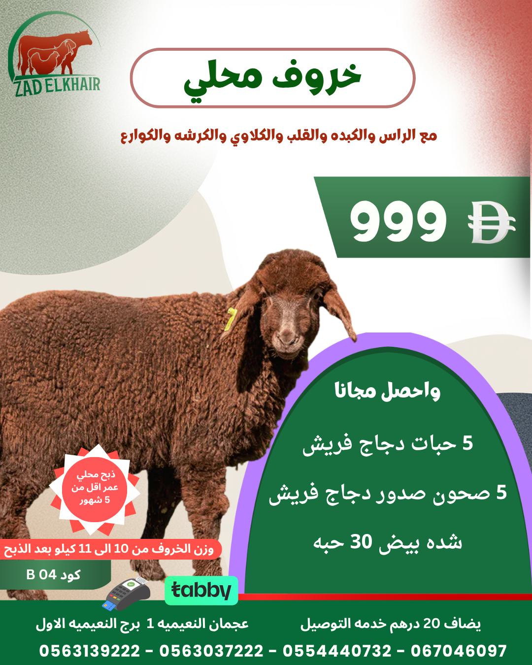 خروف محلي ذبح محلي كود B 04