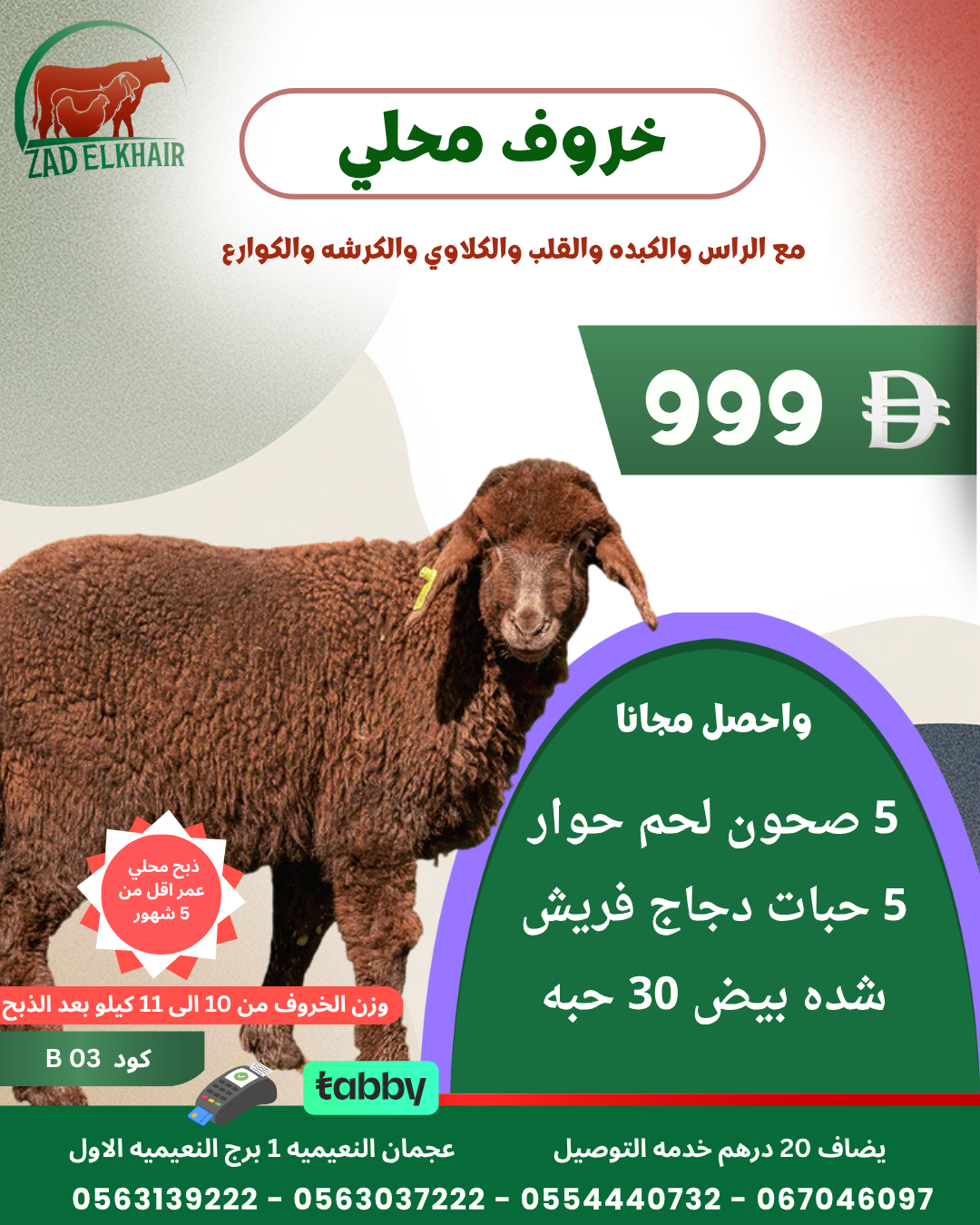 خروف محلي ذبح محلي كود B 03