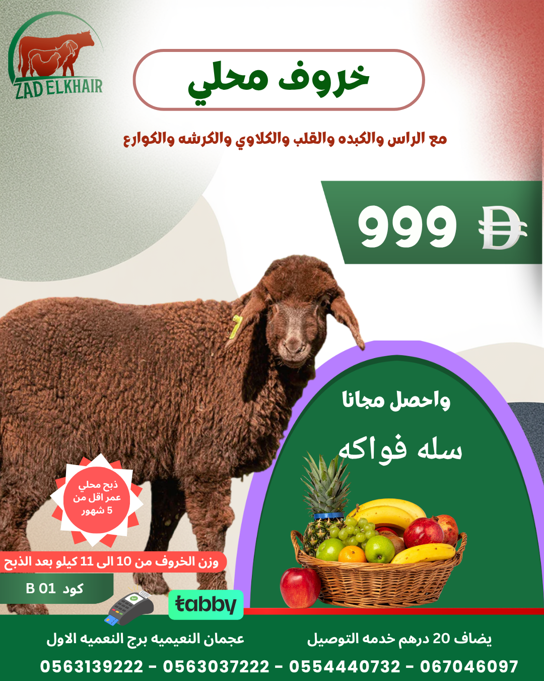 خروف محلي ذبح محلي كود B 01