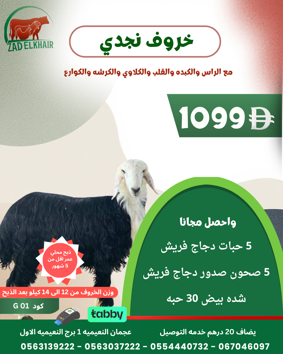 خروف نجدي ذبح محلي كود G 01