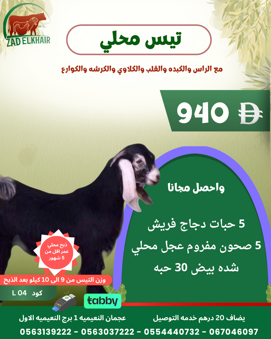 تيس محلي ذبح محلي كود L 04