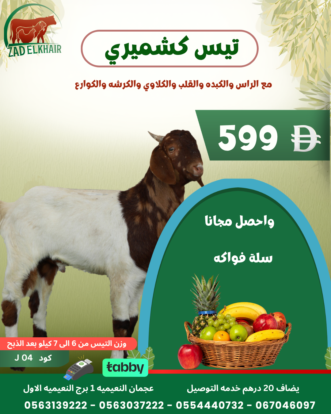 تيس كشميري ذبح محلي كود J 04