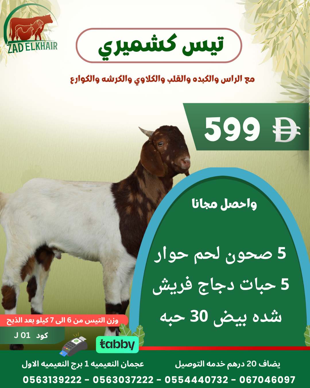 تيس كشميري ذبح محلي كود J 01