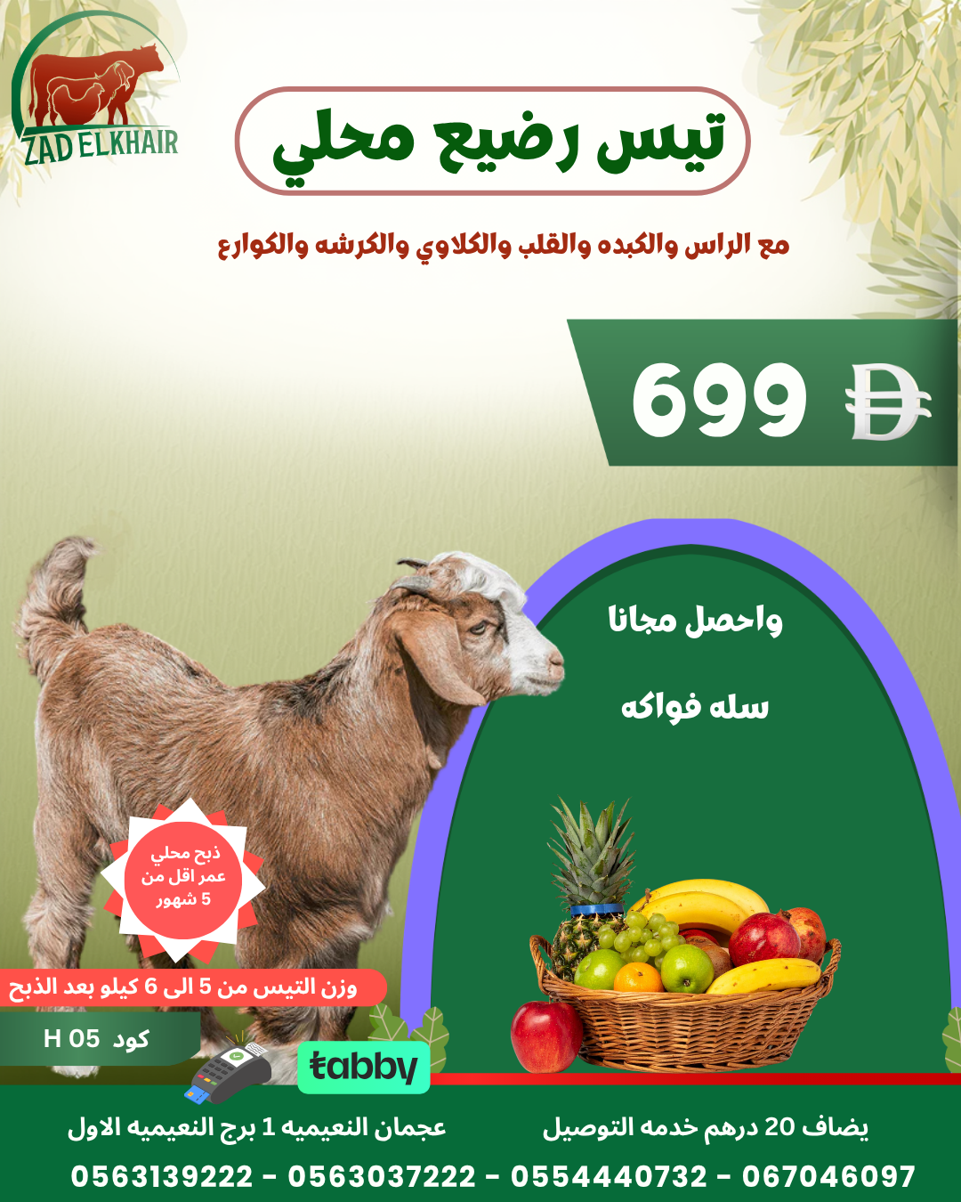 تيس رضيع محلي كود H 05