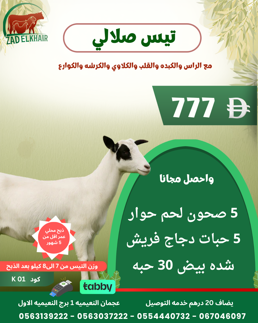 تيس صلالي ذبح محلي كود K 01