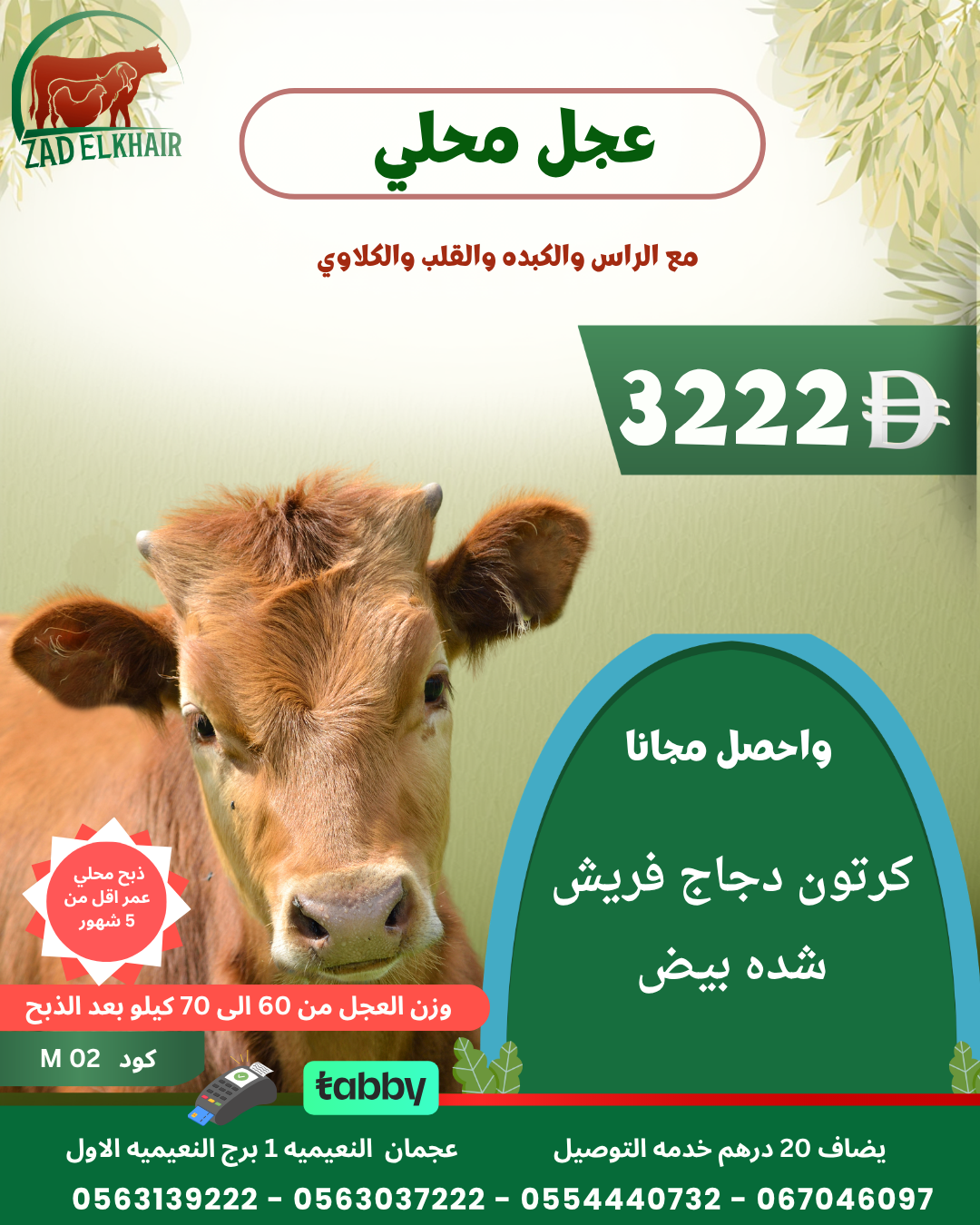 عجل محلي كود M 02